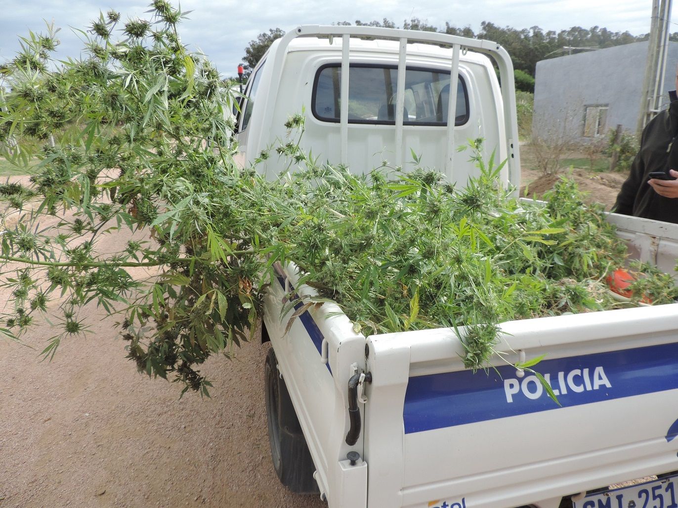 Consejos legales para usuarios de drogas 