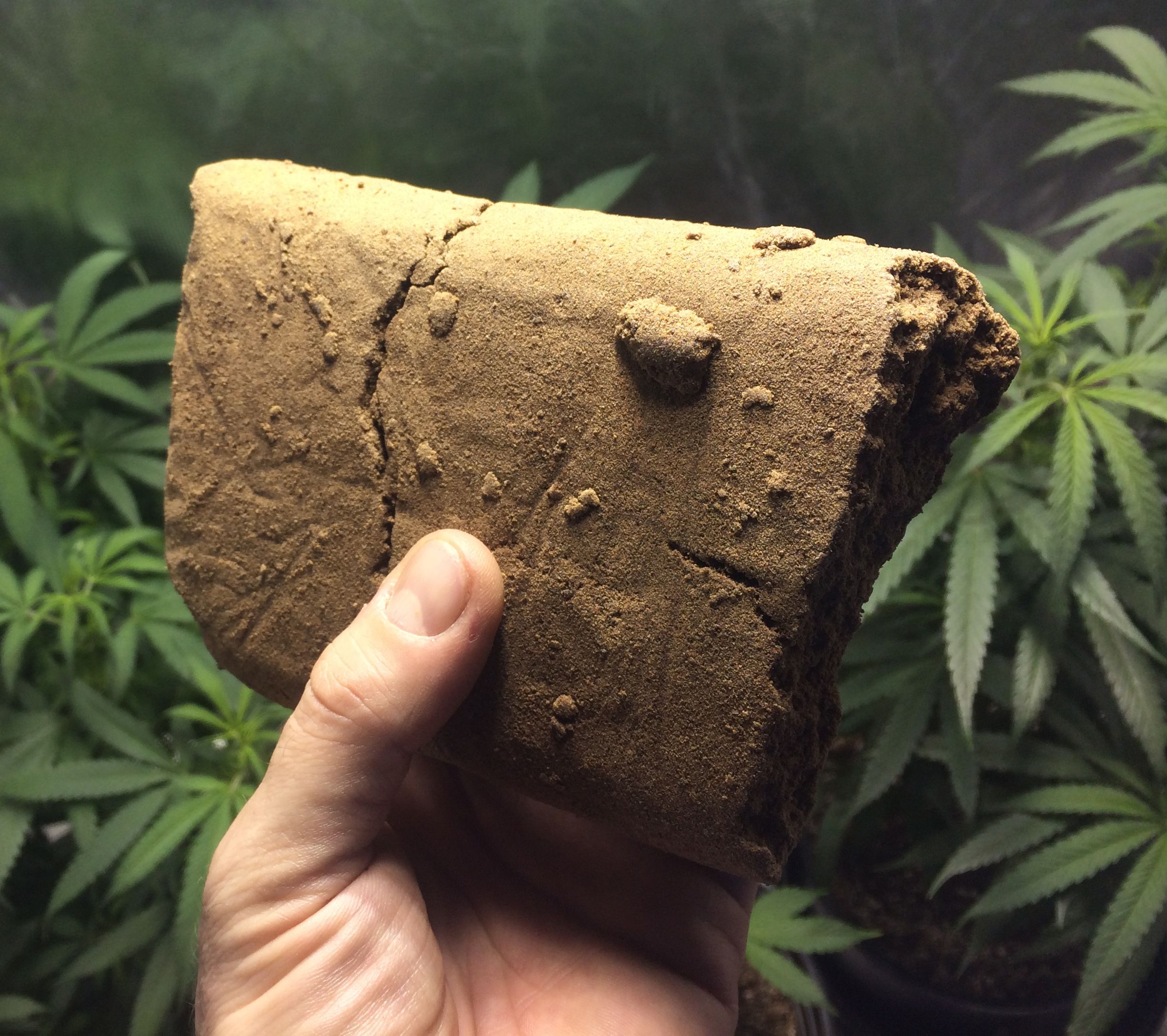 ¿Cómo hacer hash casero?