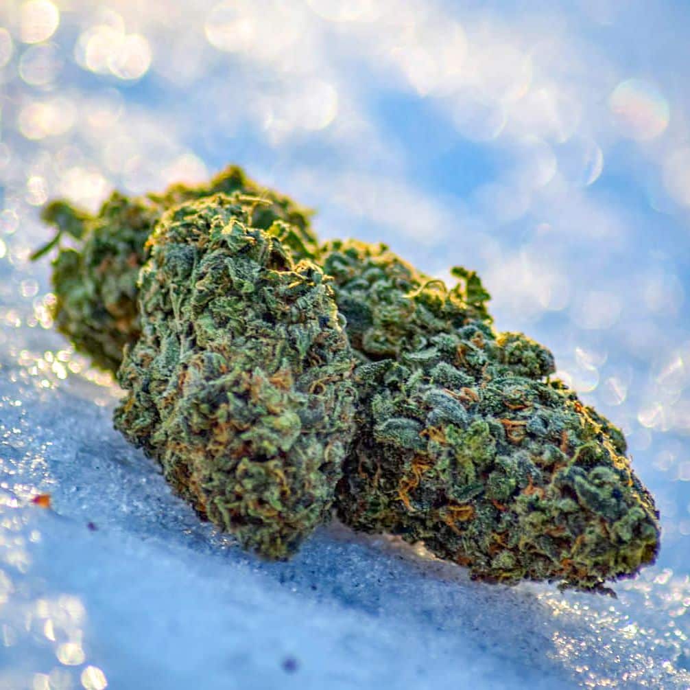 ¿Dónde esconder porro antes de entrar a un evento?