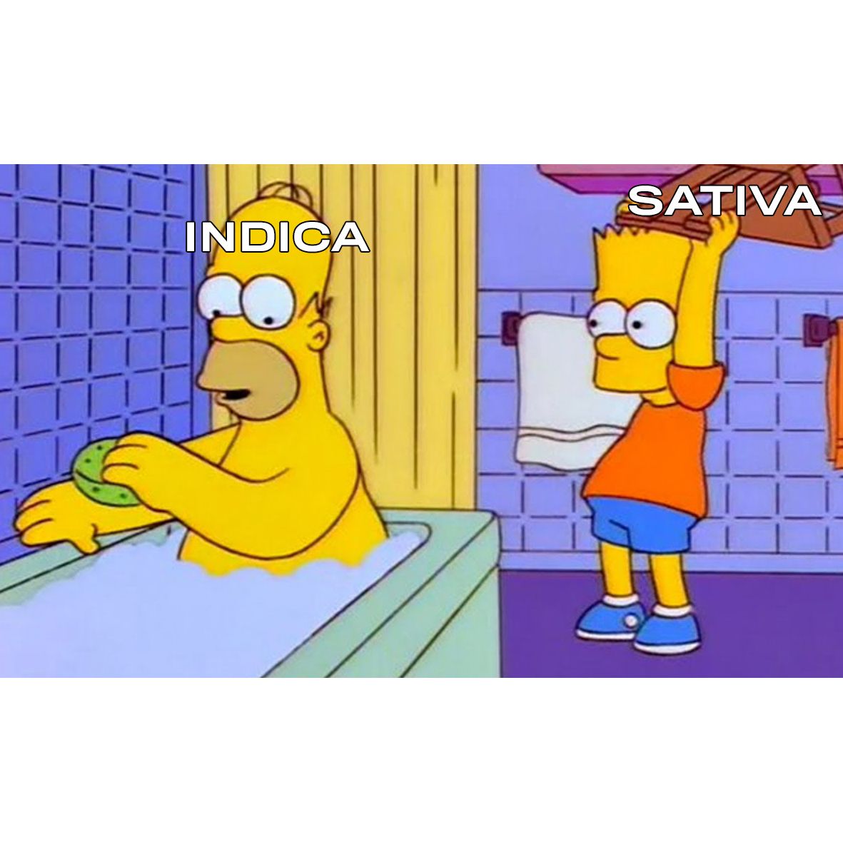 Estos Son los 5 Episodios que mencionan Marihuana en Los Simpsons