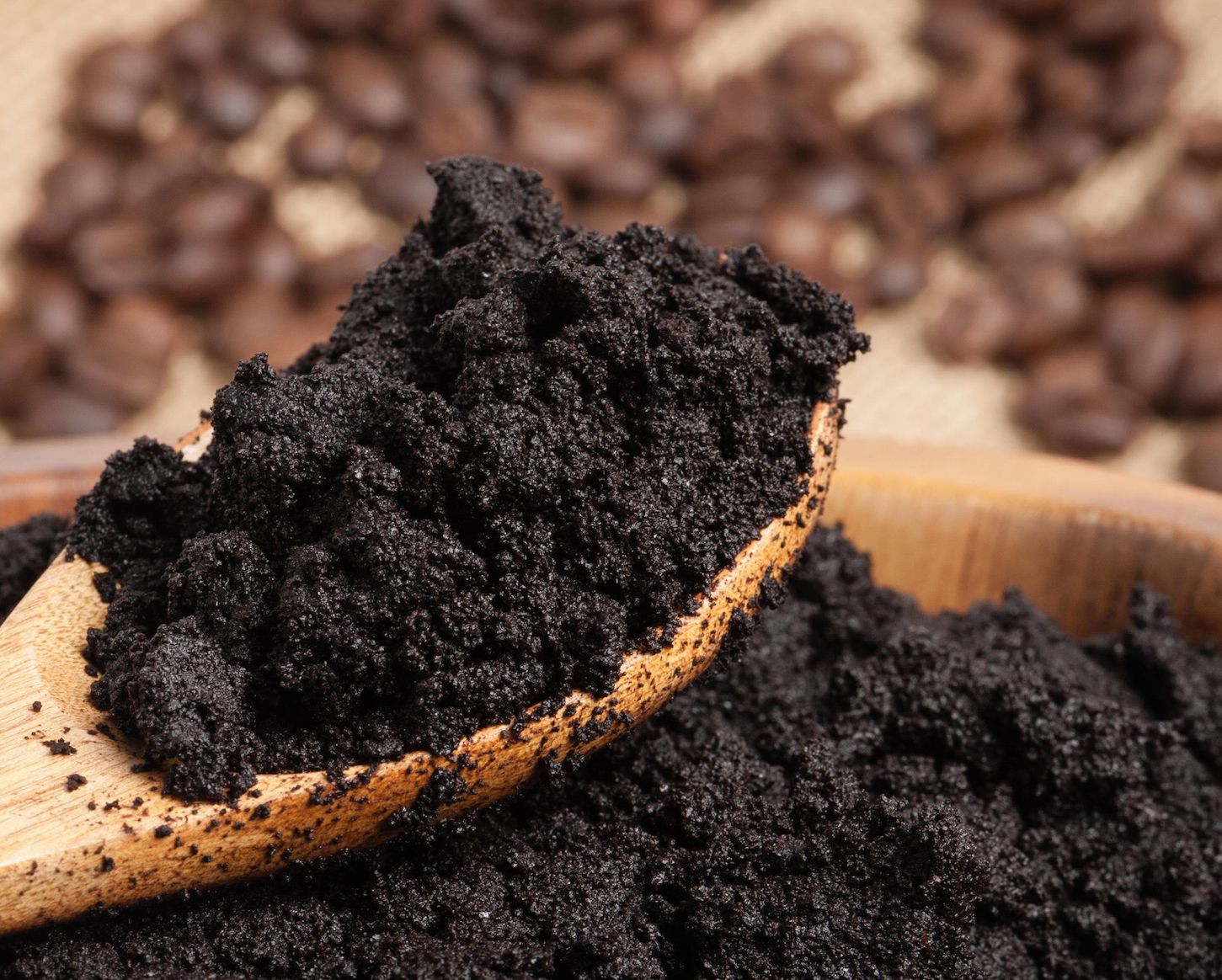 Guano de murciélago: ¿Qué es y para qué sirve?