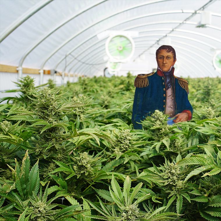 Belgrano: el primer cultivador en Argentina?