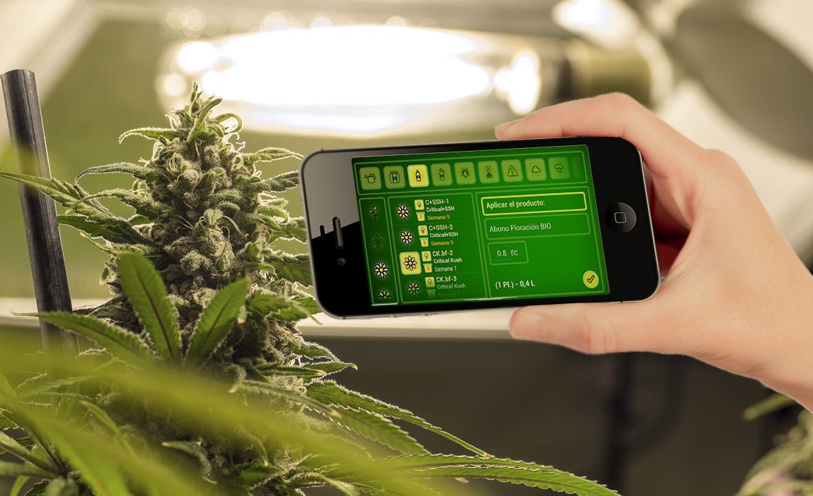 Apps para cultivo cannabico