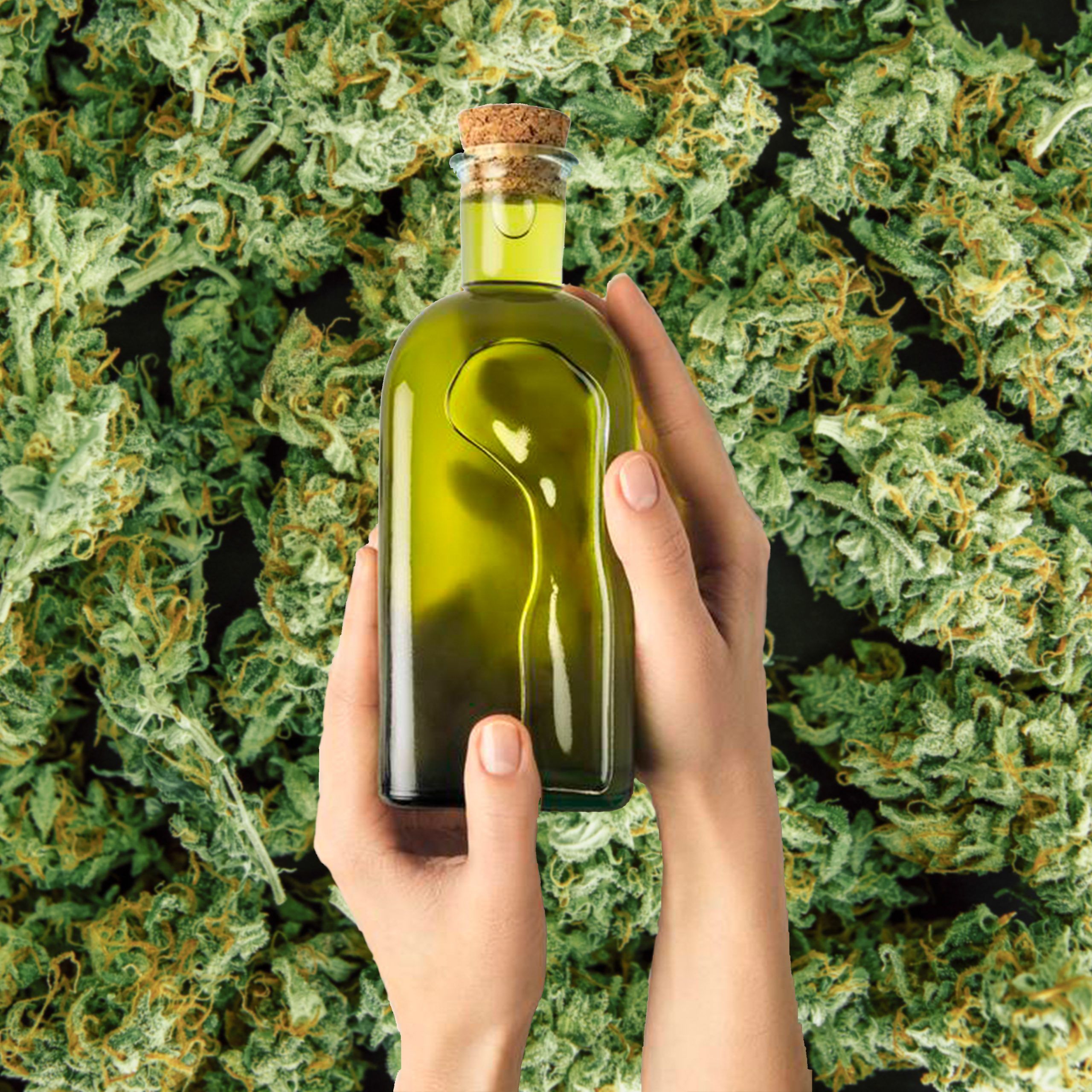 Cocina Cannabica: Aceite infusionado con cannabis para cocinar