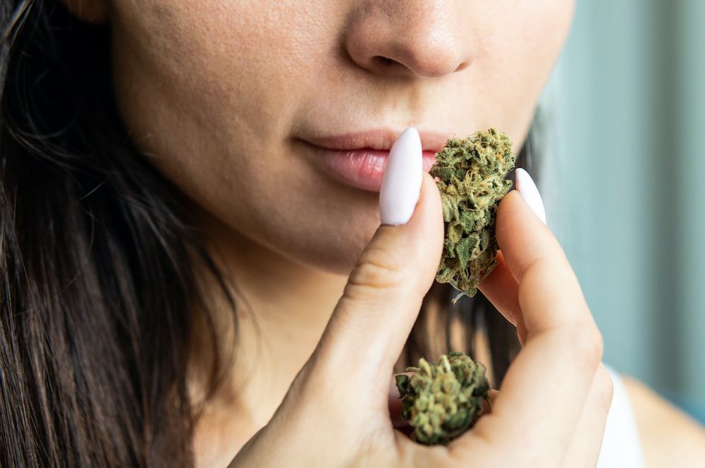 Cómo camuflar el olor a marihuana?