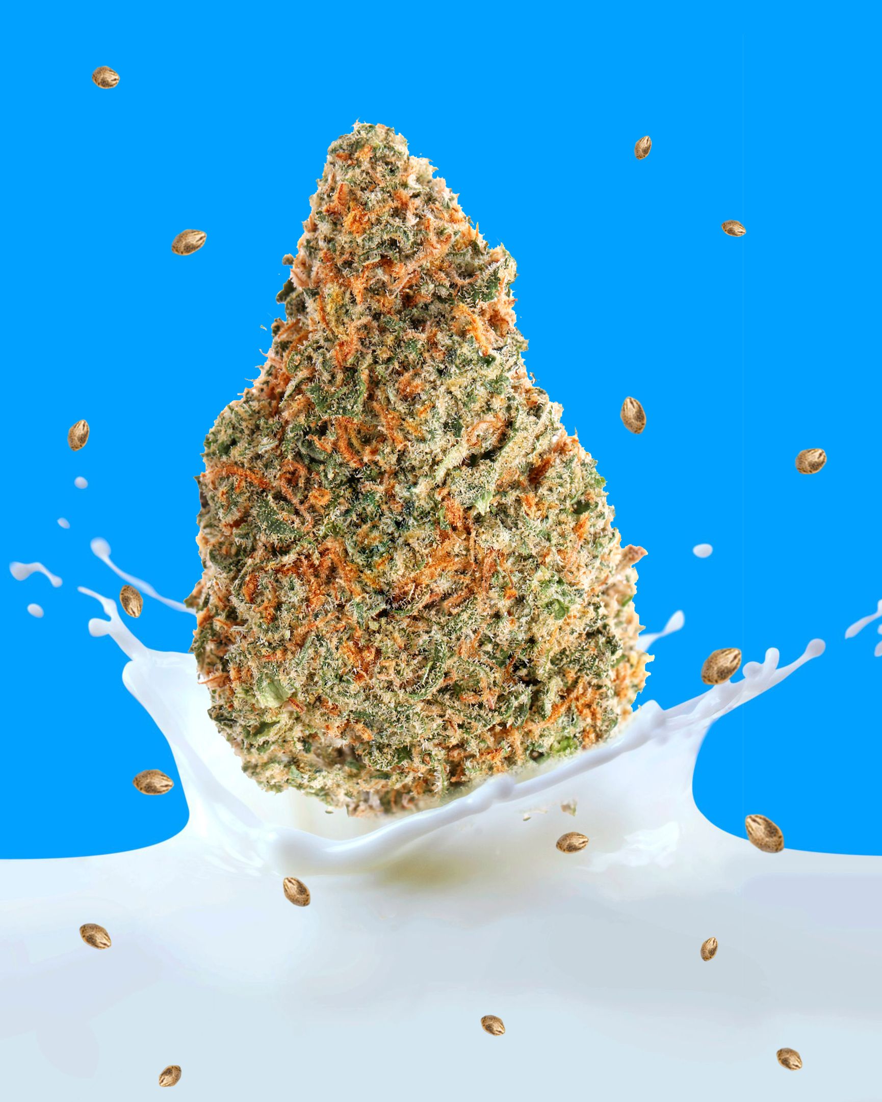 Leche de cáñamo