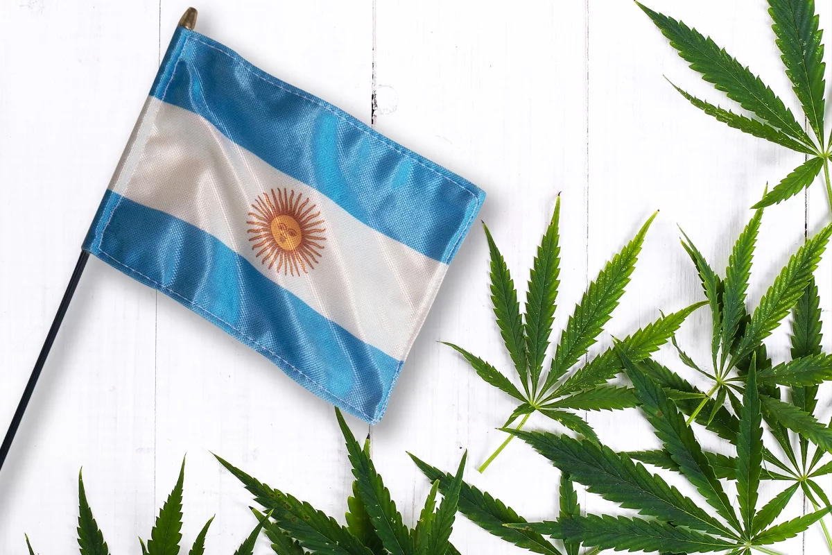 REPROCANN 2025:¿Por qué conviene tener el permiso en trámite (aunque esté en evaluación)?