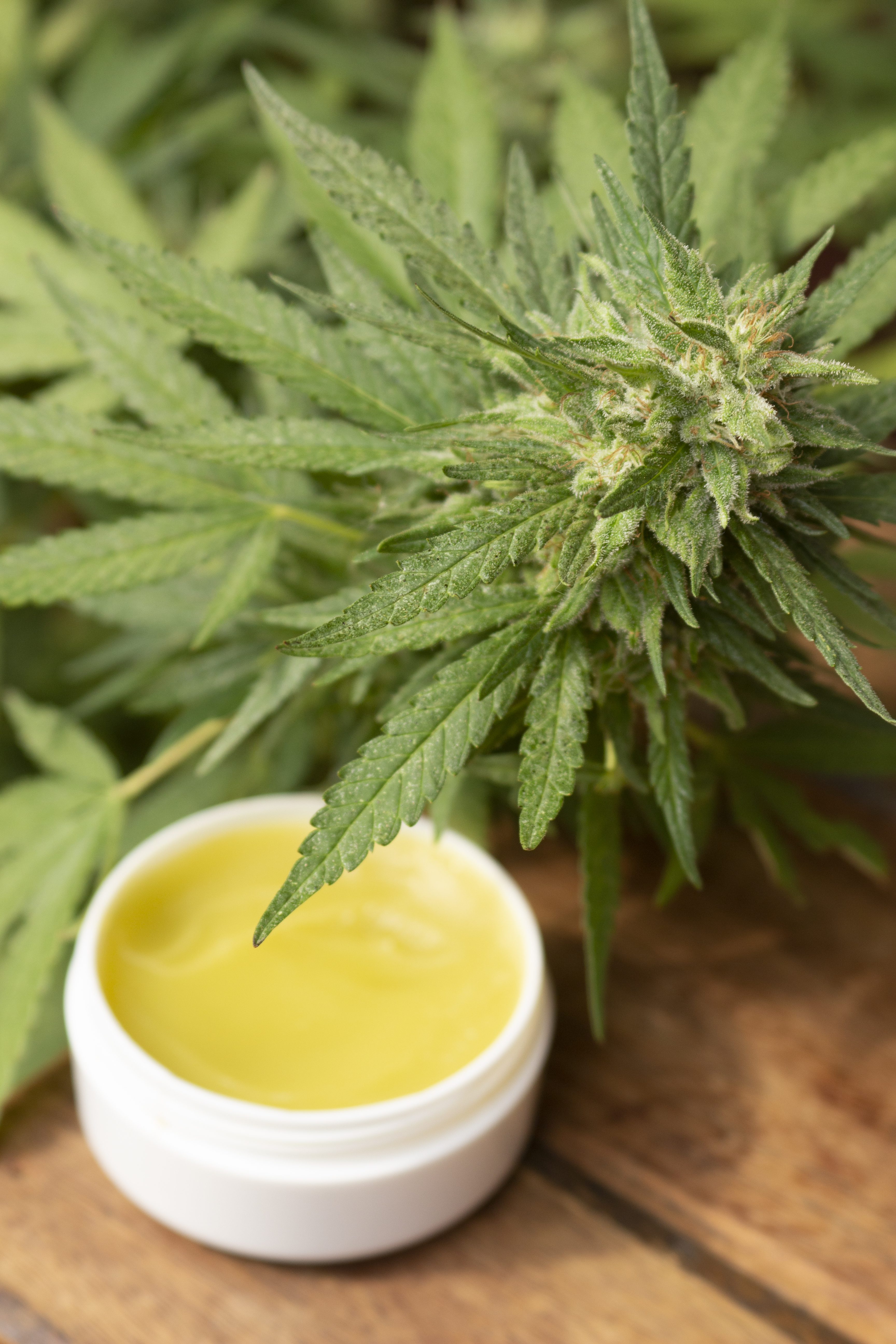 Los lugares mas insólitos donde ocultaron marihuana