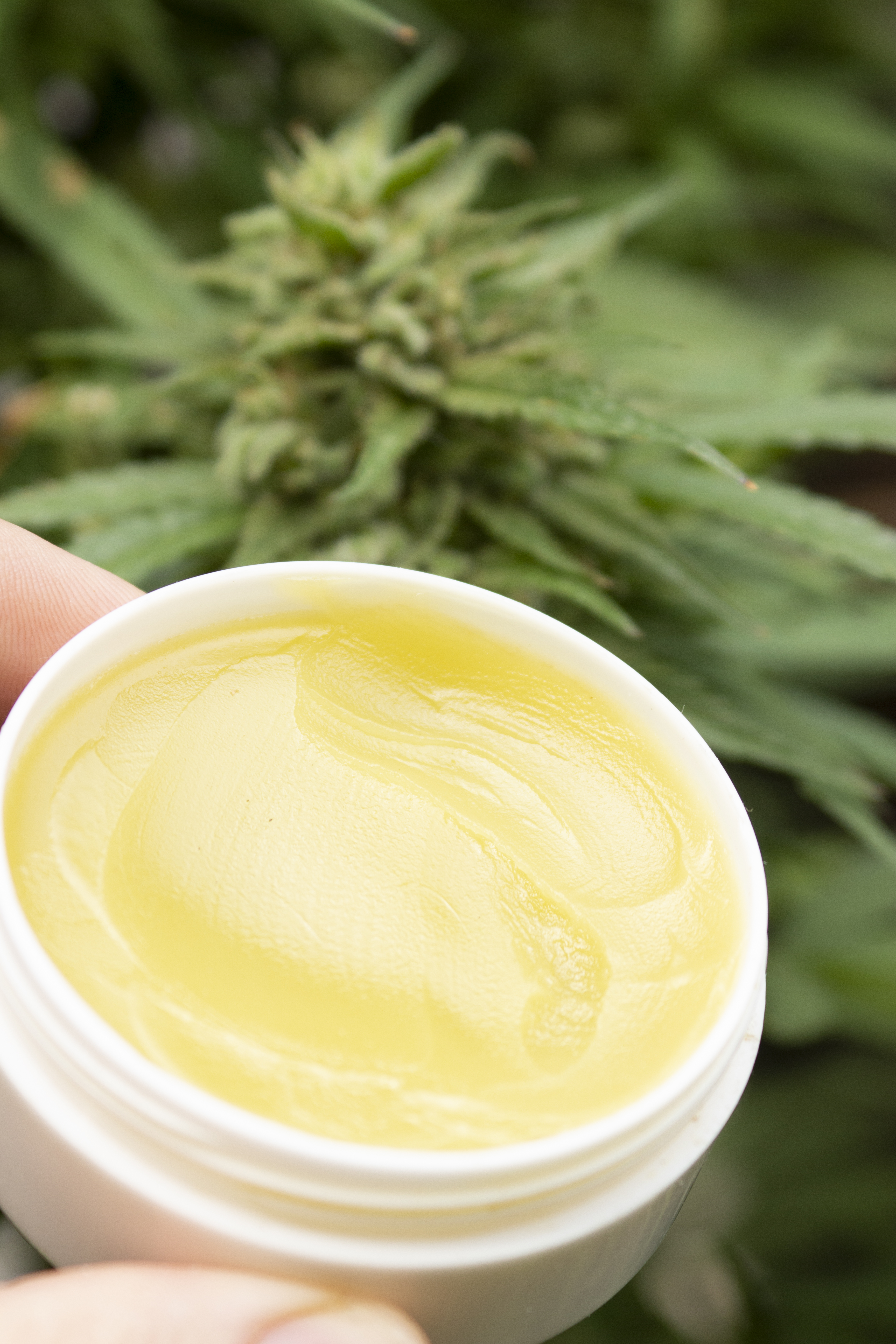 ¿Cómo puede el cannabis ayudar en el tratamiento de la dermatitis atópica?