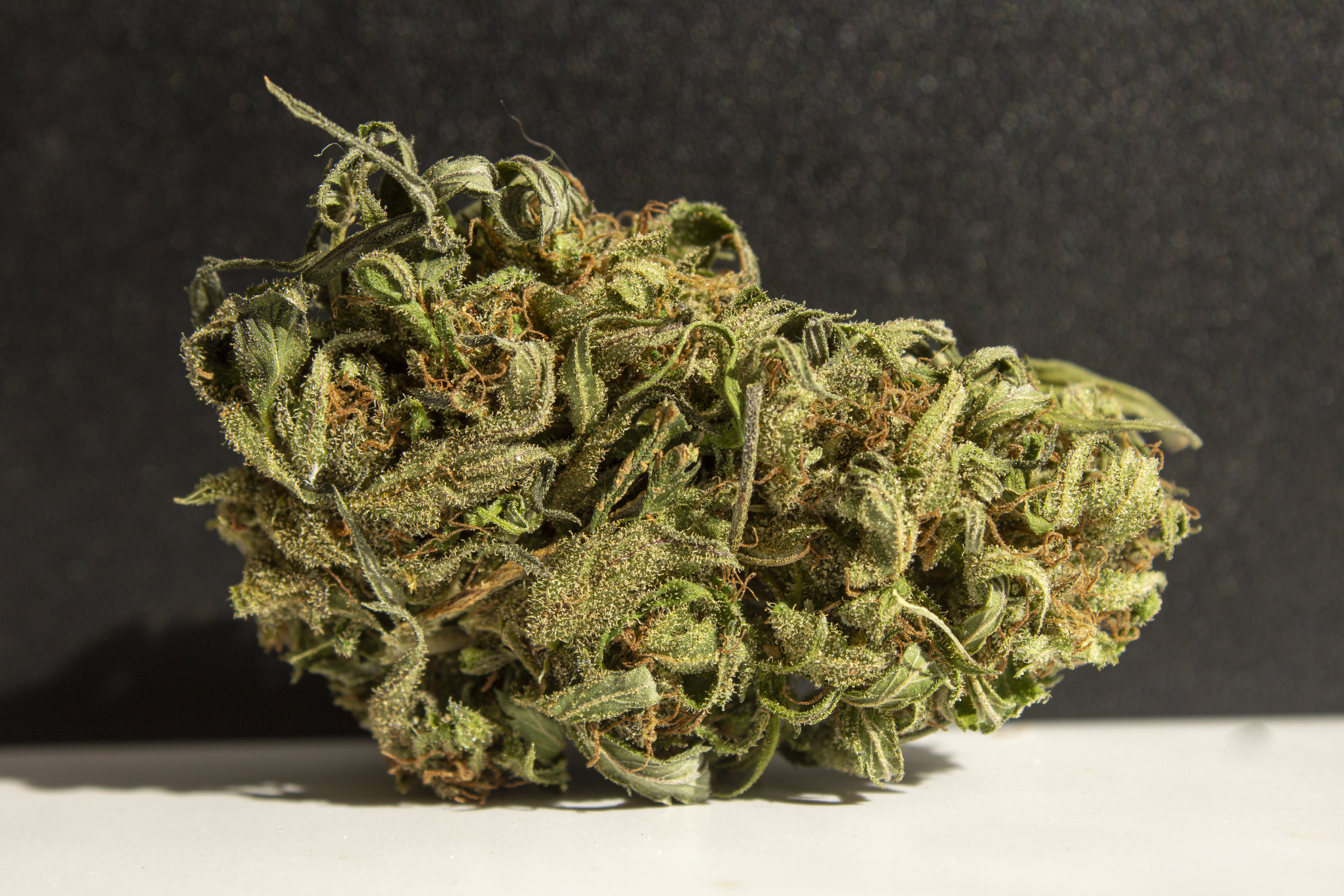 Green Tiger Faster Flowering