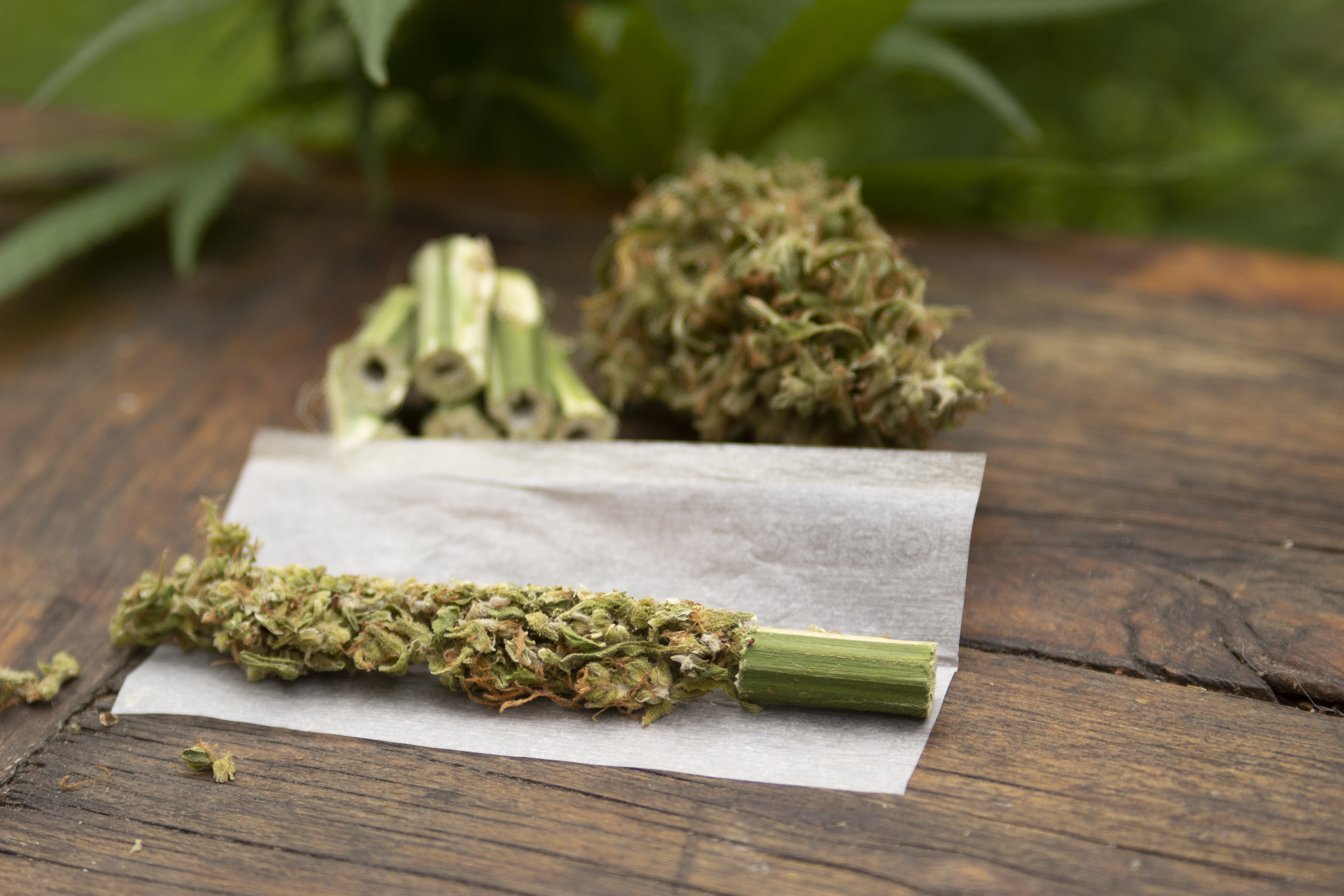 Cómo transportar marihuana.. y que no te la encuentren!