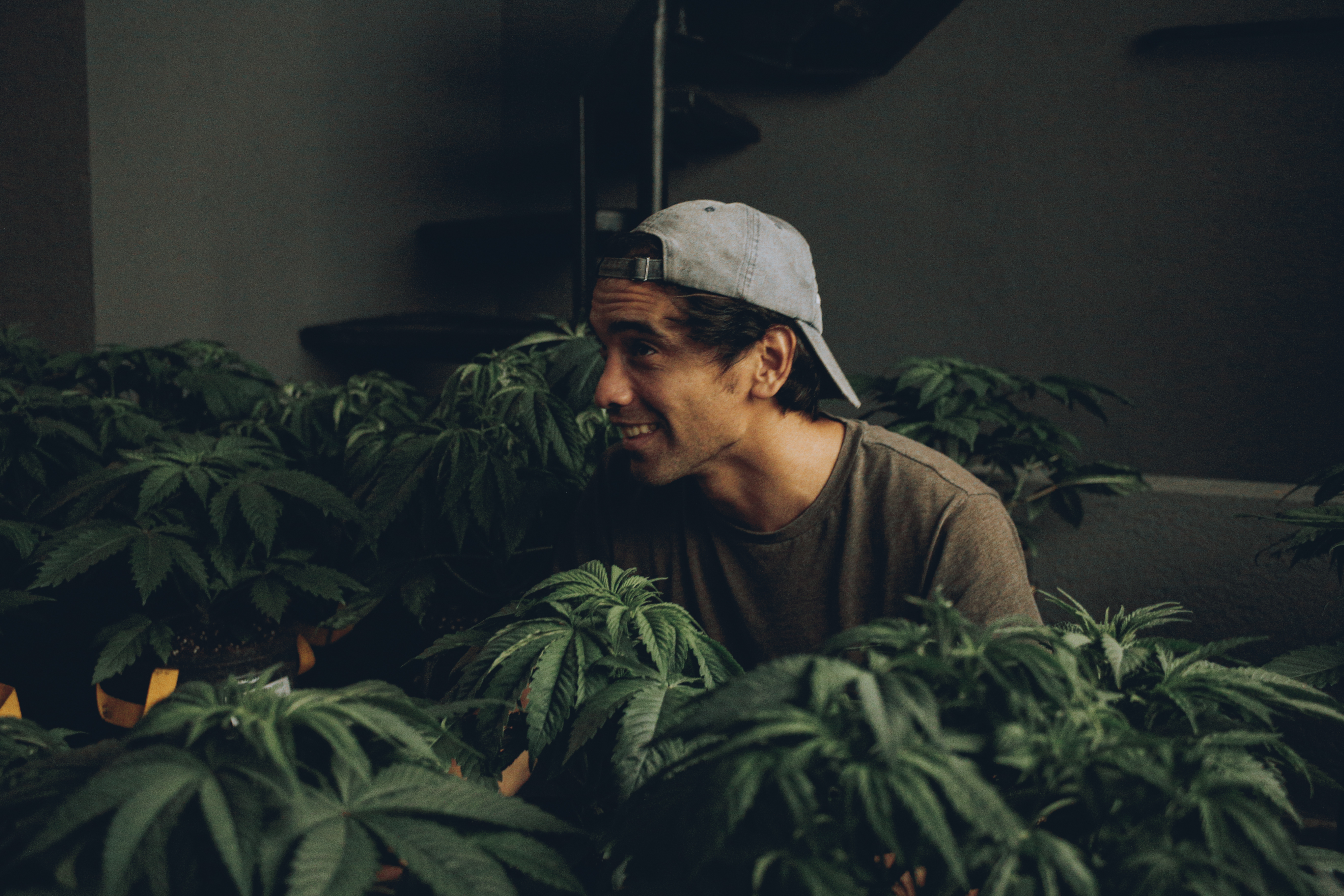 ¿De qué manera la marihuana puede contribuir al descanso en vacaciones?