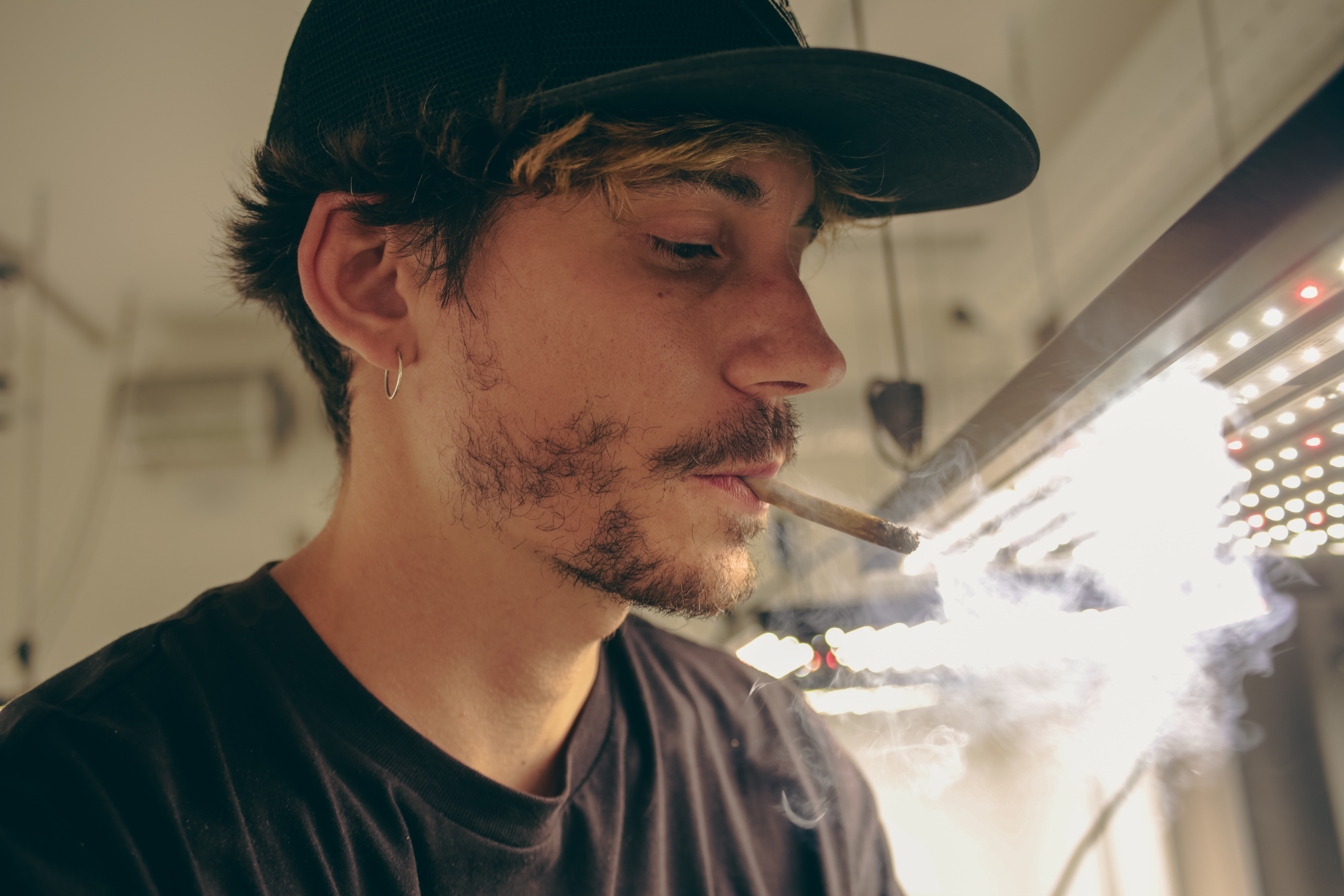 ¿Cómo puede el cannabis mejorar un verano en casa?