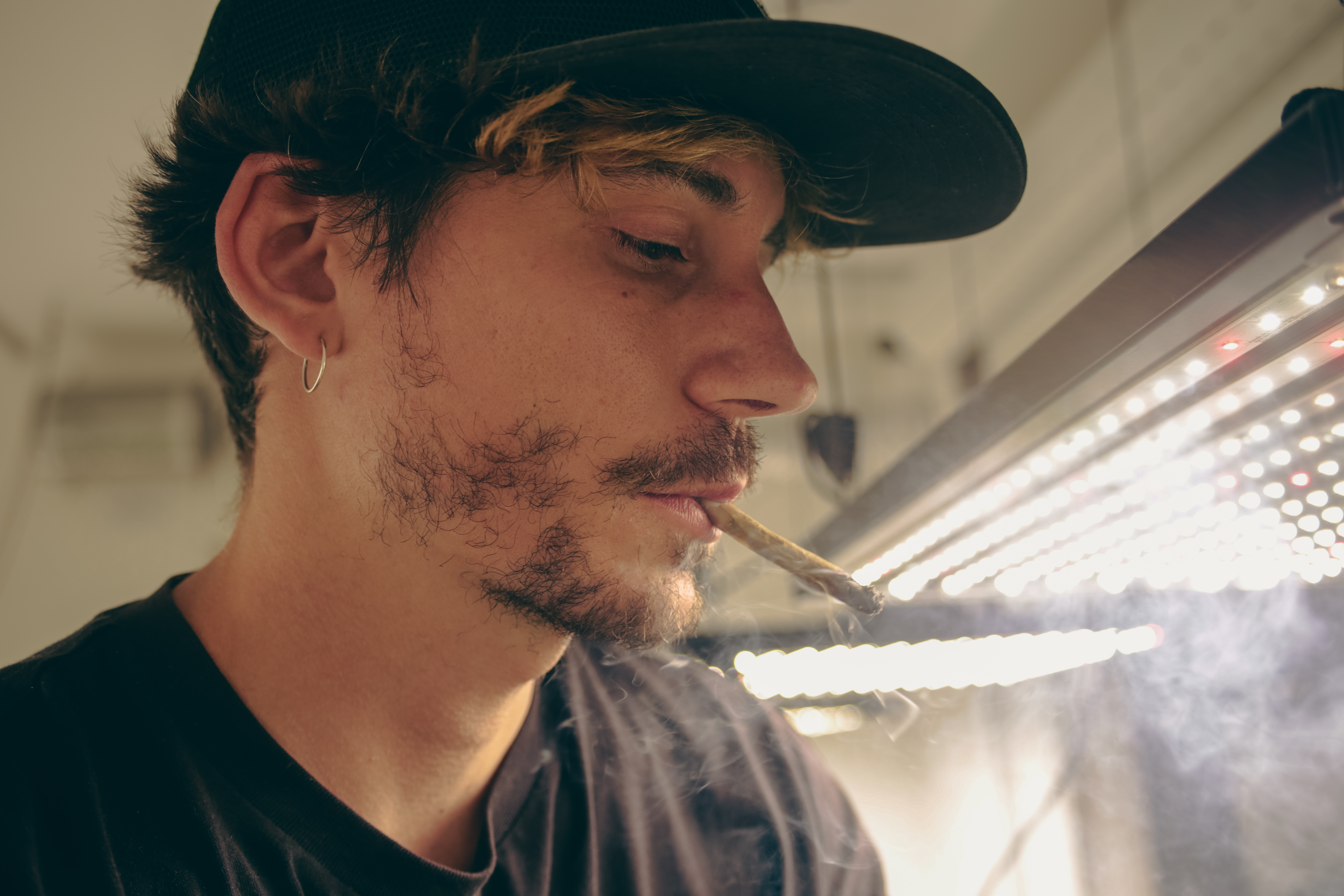 10 famosos que consumen cannabis y quizá no sabías