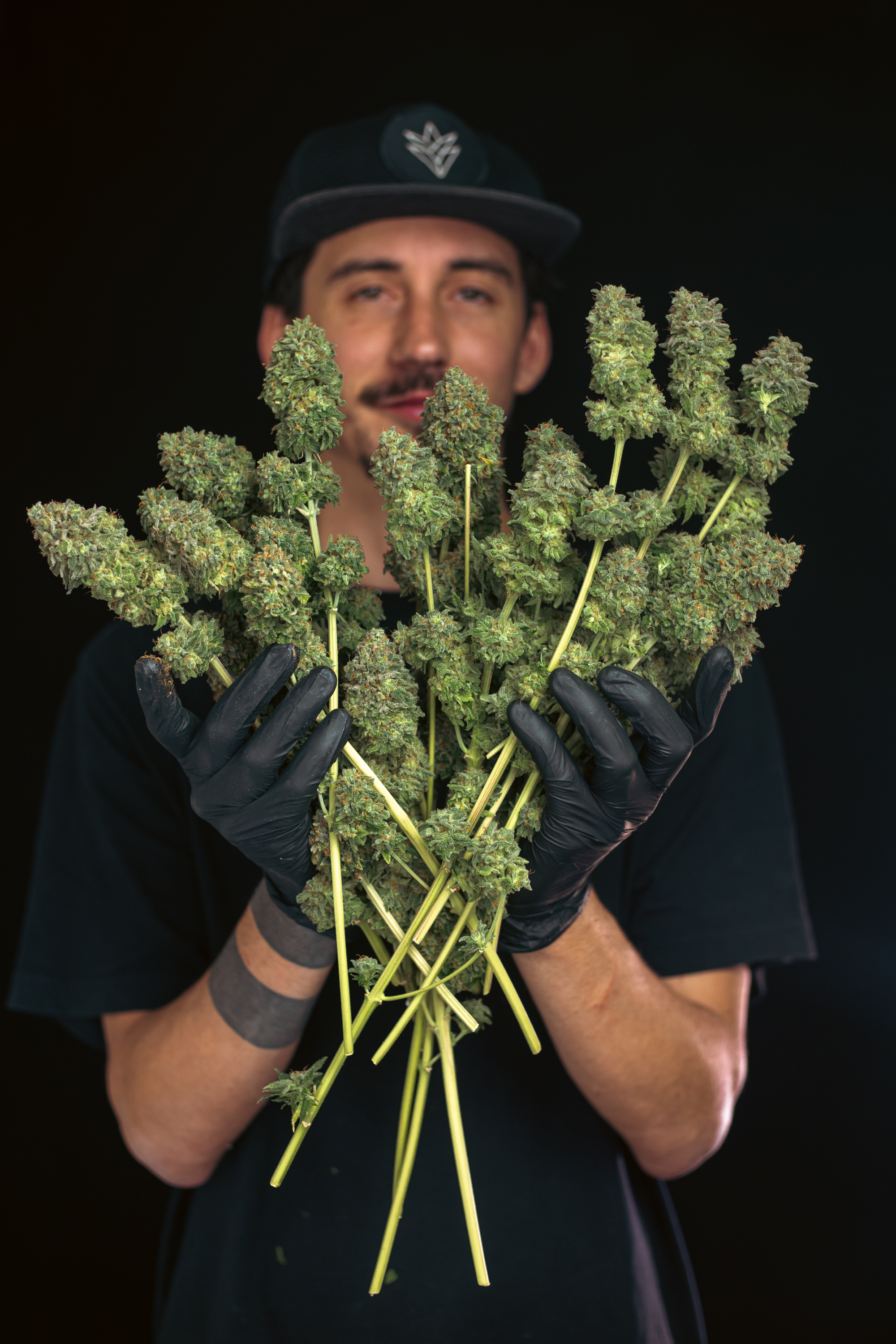 ¿Cuál es la diferencia entre plantas de marihuana interior y exterior?