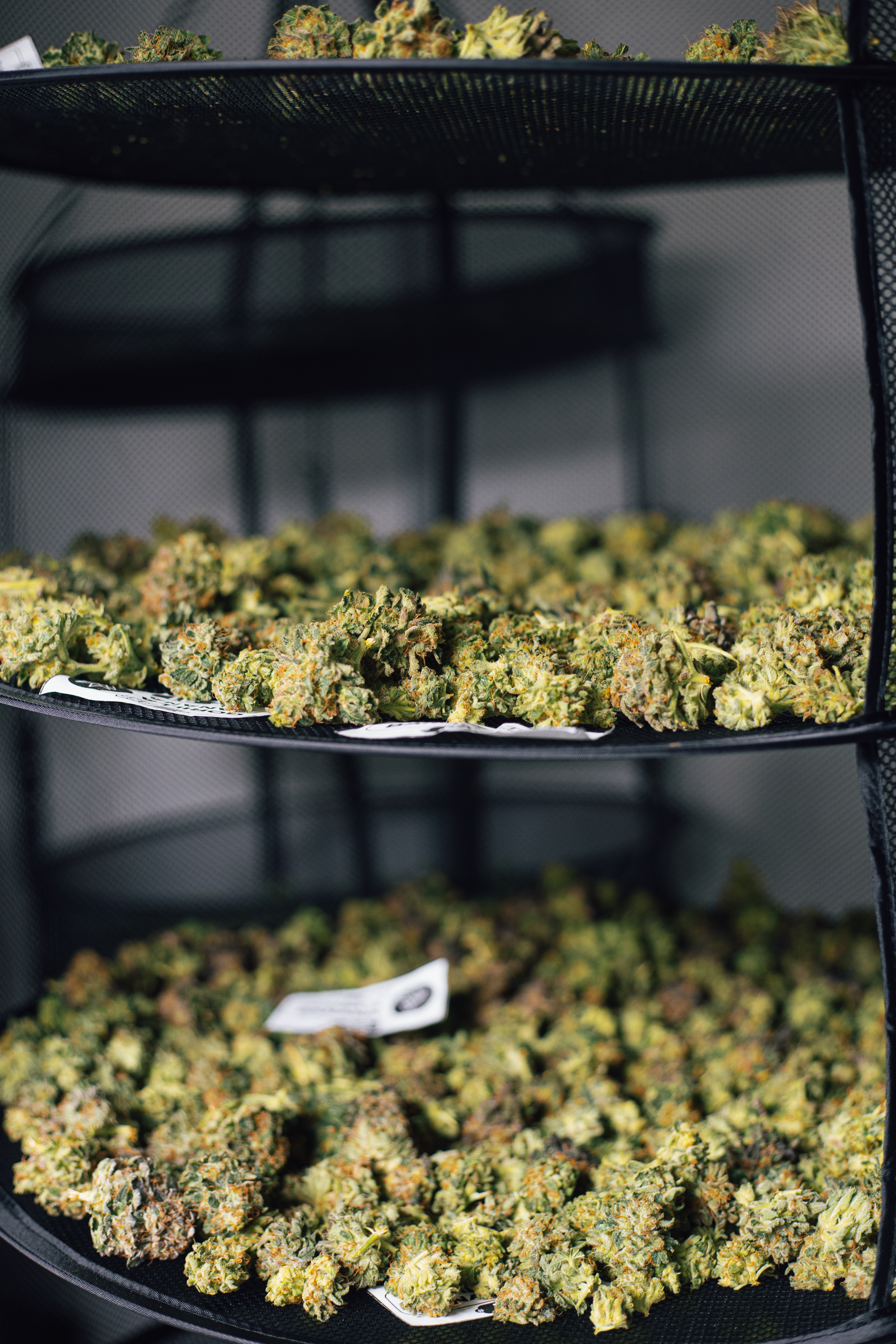 Marihuana y meditación: ¿Cómo se relacionan?