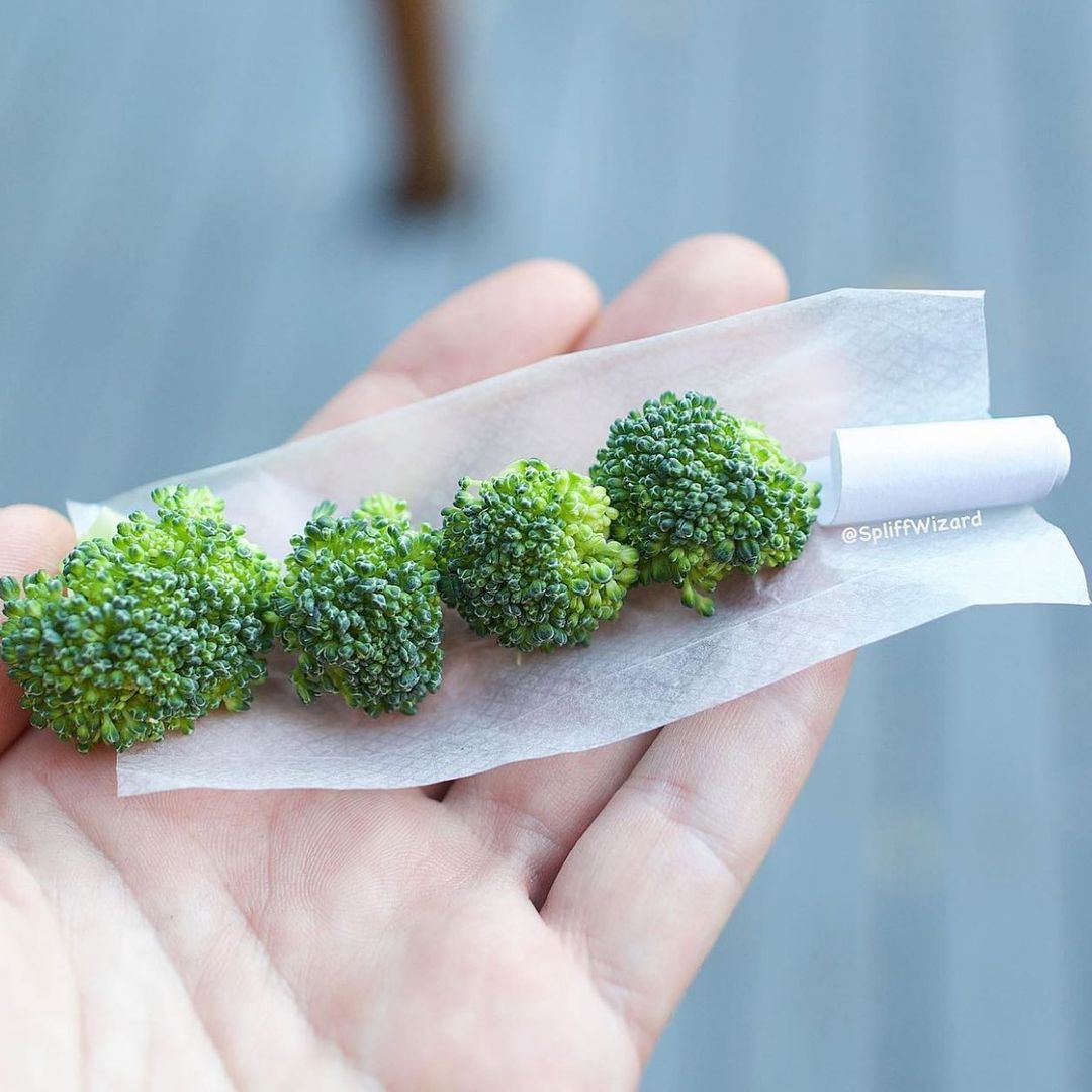 Censura cannabica en la era digital