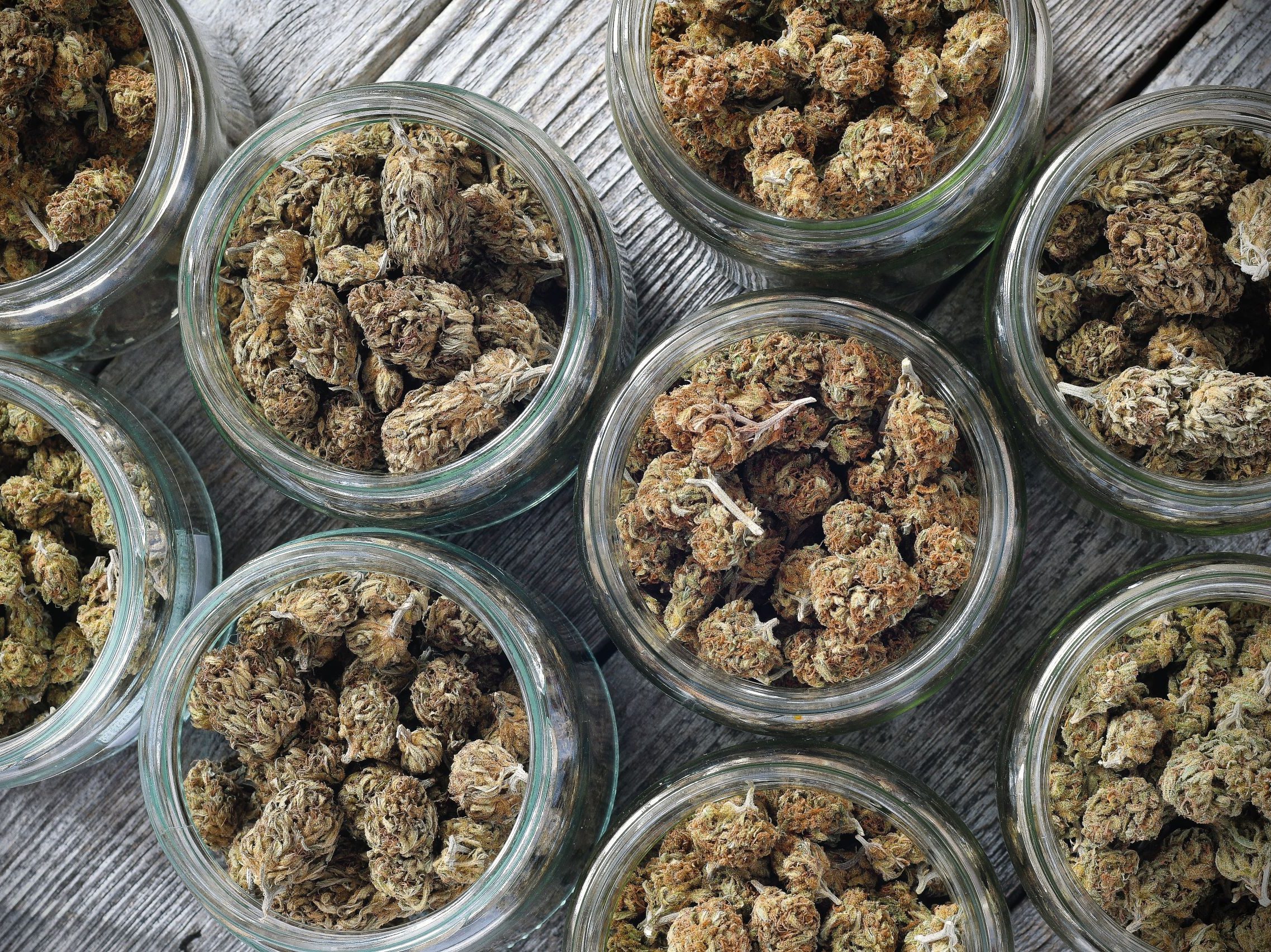 ¿Qué es THCA vs THC?