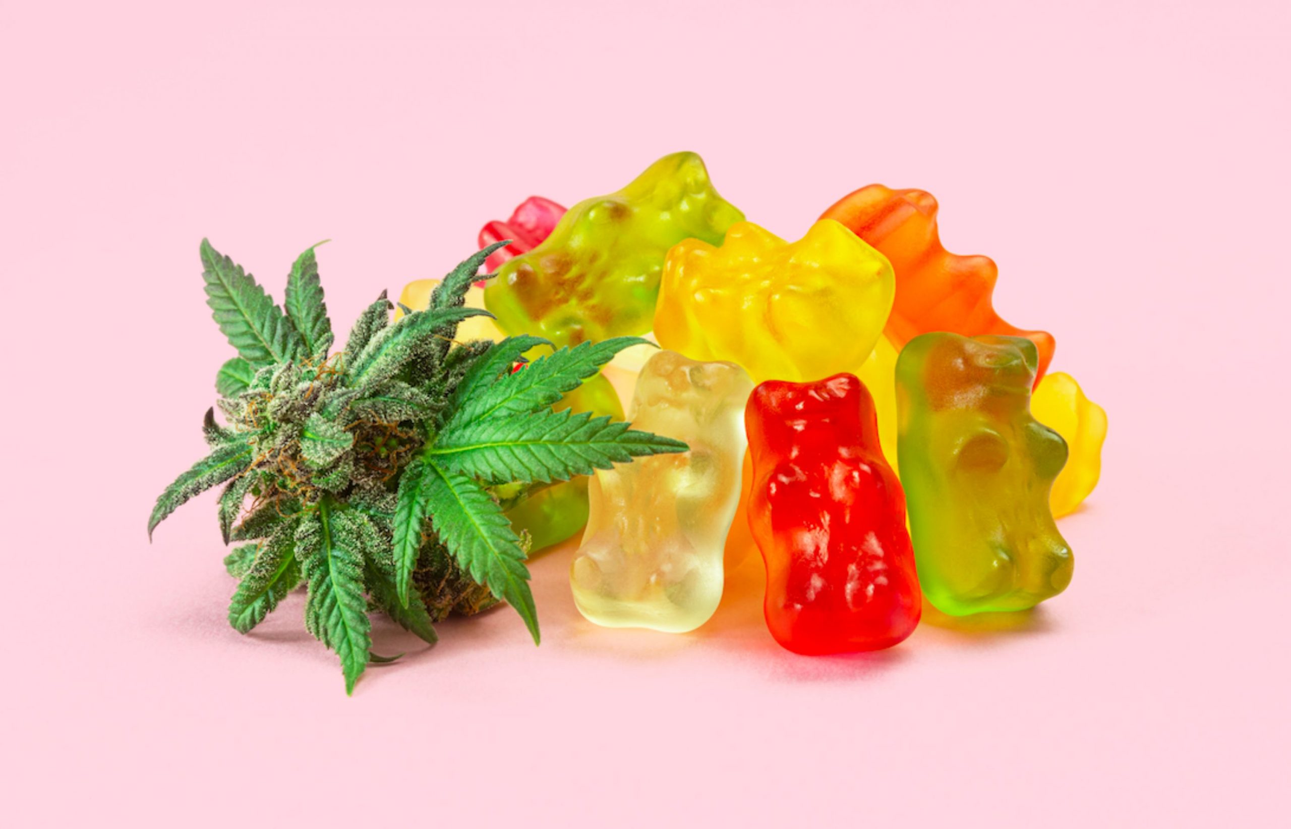 5 datos sobre las gomitas de CBD que debes conocer