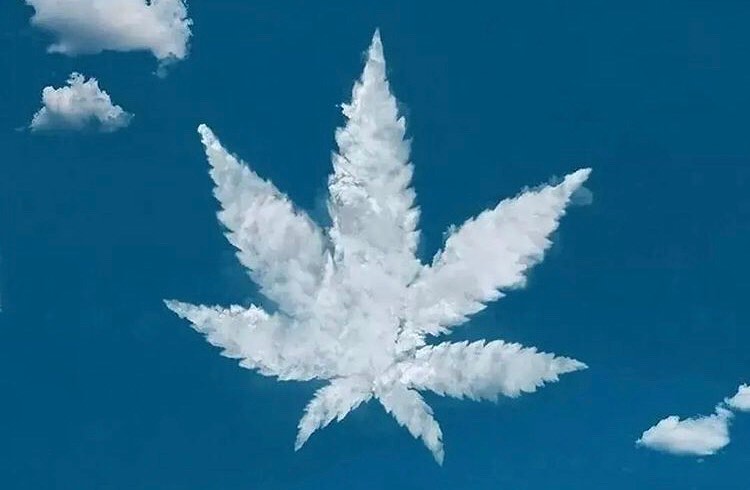 Efectos que el humo del cannabis le produce a tu cuerpo