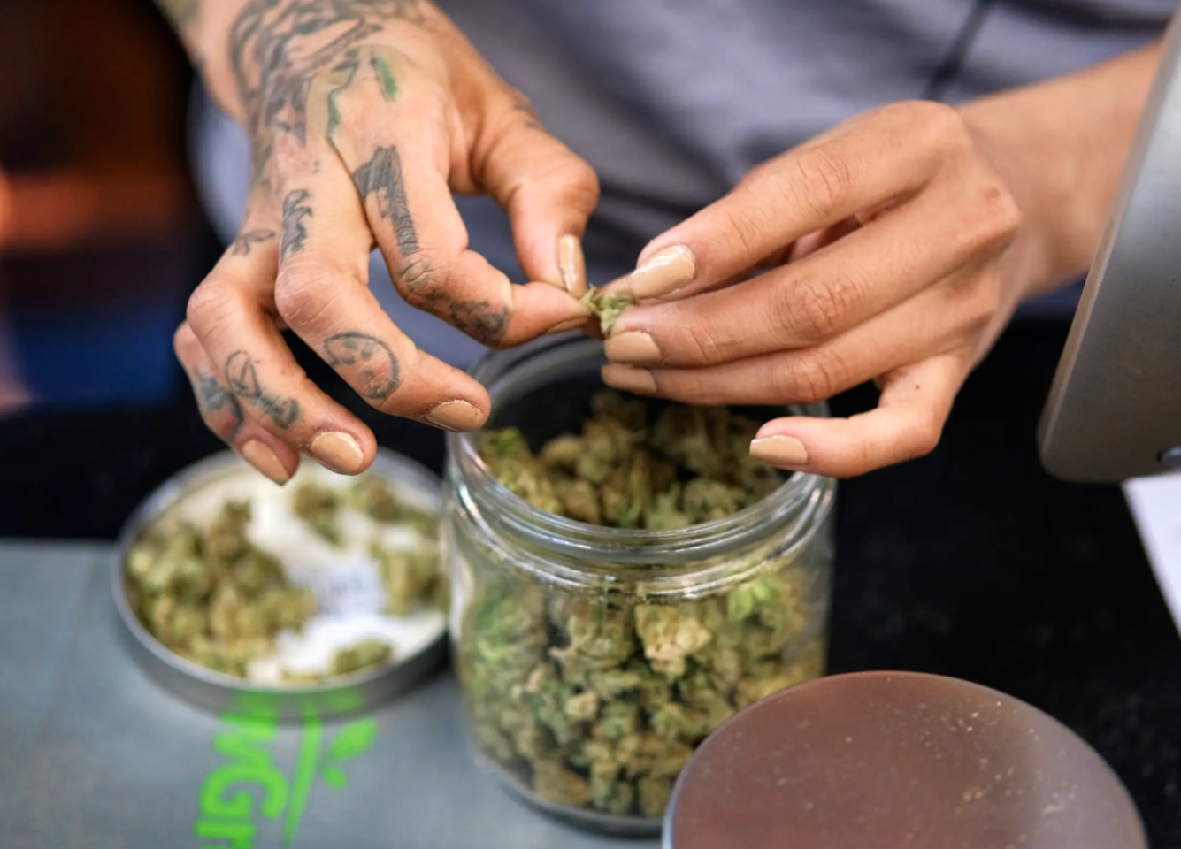 Hablemos de cannabis: cómo abordar el tema con tu familia y amigos