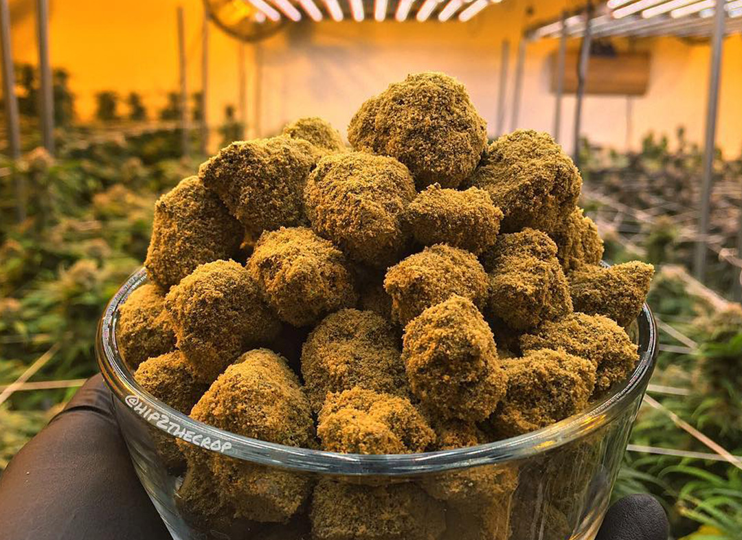 ¿Existe marihuana para concentrarse?