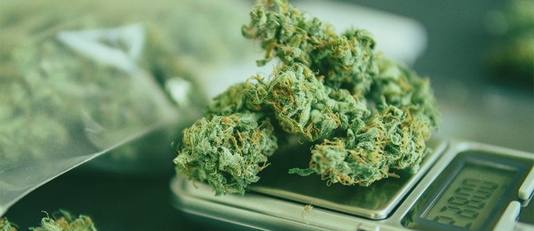 Pesar cannabis sin balanza
