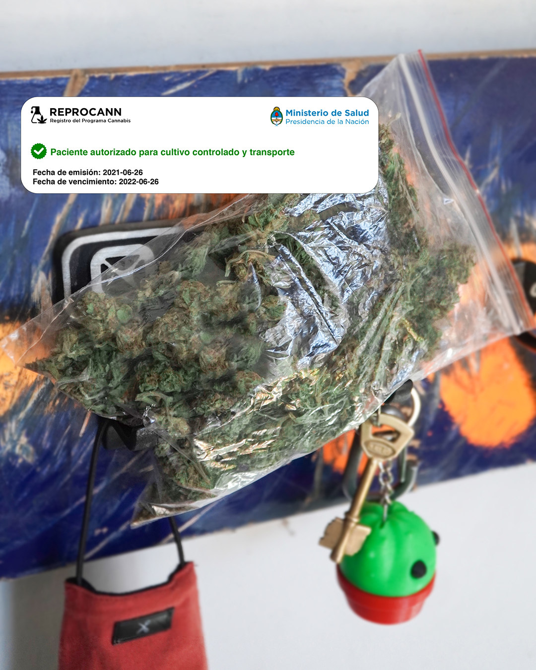 Guía para Viajar con Marihuana: Consejos Prácticos para un Viaje Relajado