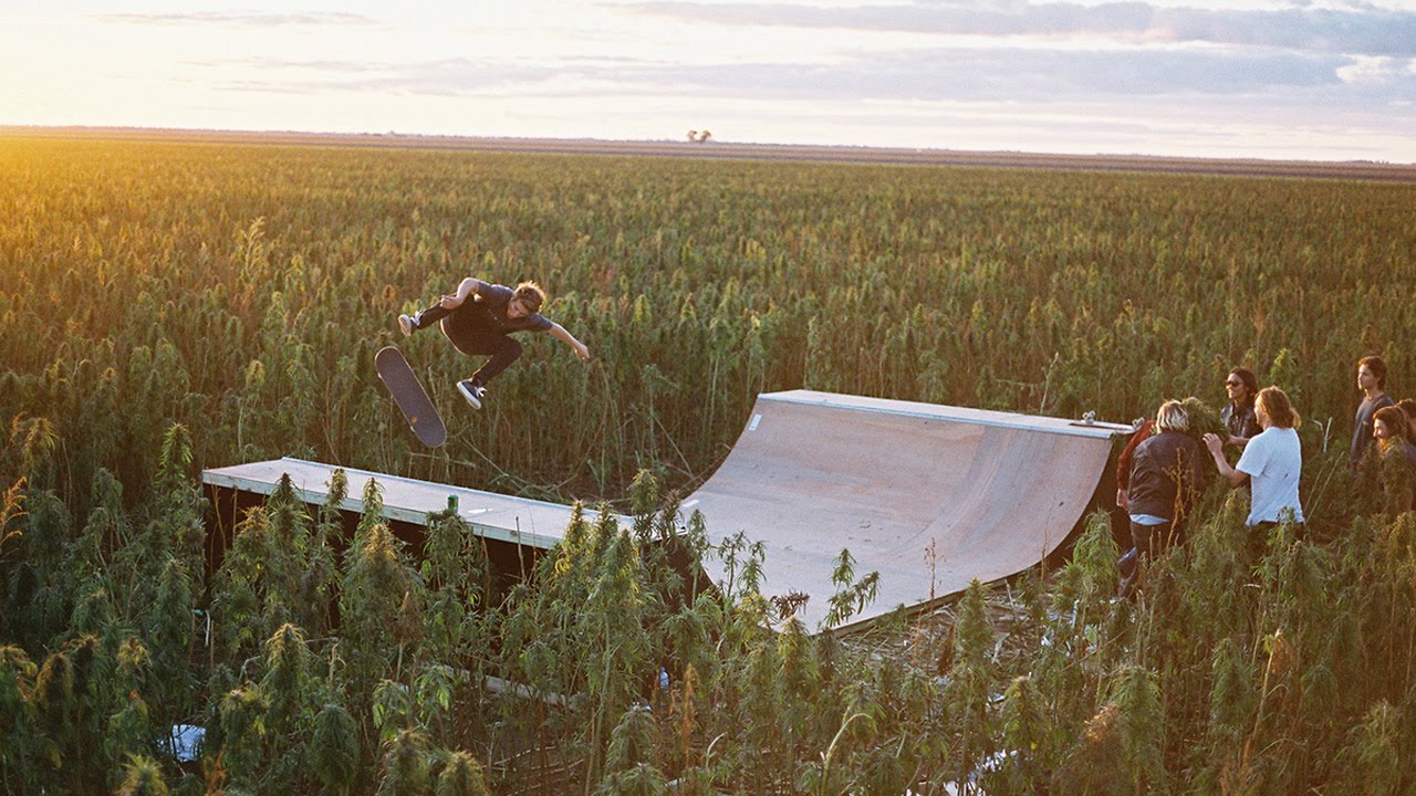 ¿Qué tan profunda es la conexión entre el cannabis y el skateboarding?