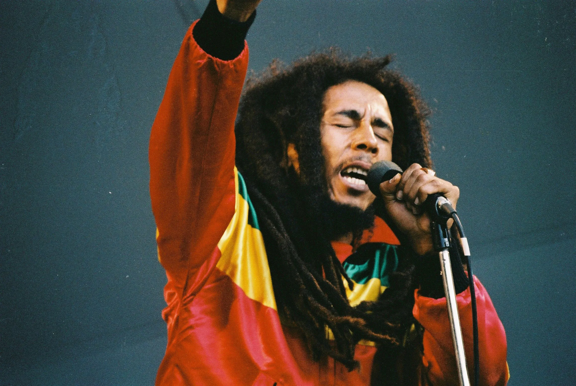 Top 7 de músicos a favor de la marihuana