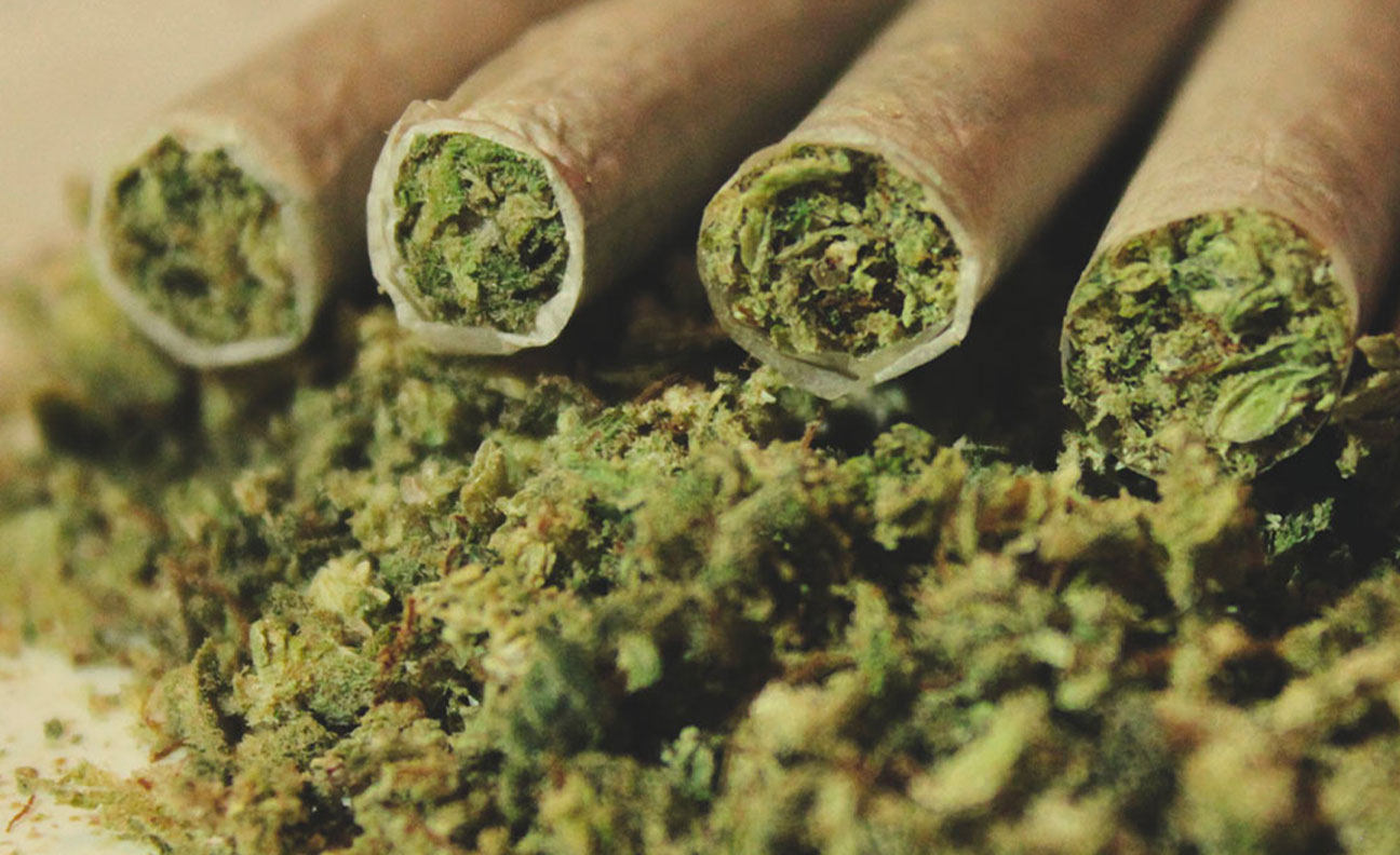 GPR55: ¿El tercer receptor cannabinoide?