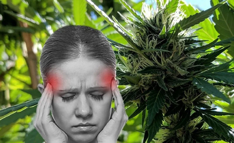 ¿La marihuana es buena para la migraña?