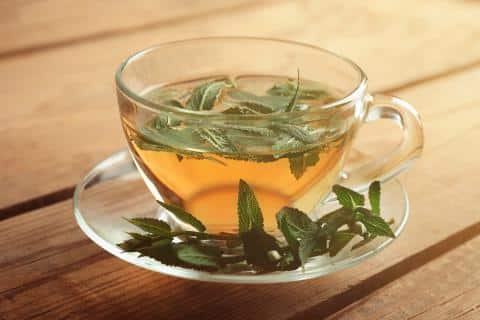 ¿Para qué sirve la salvia?