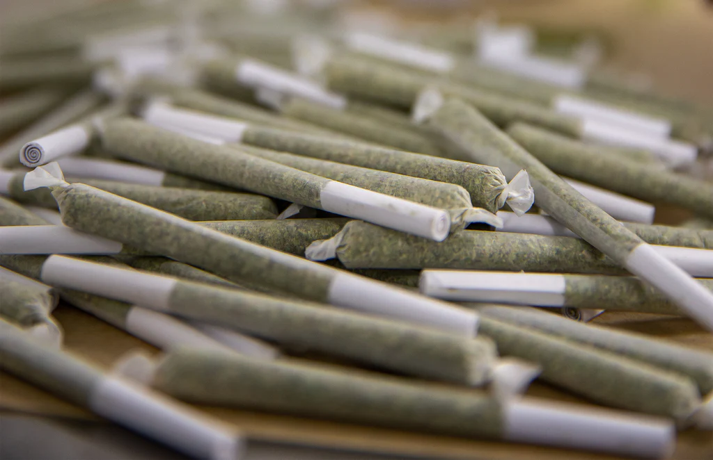 ¿Cómo armar un porro? Tips básicos