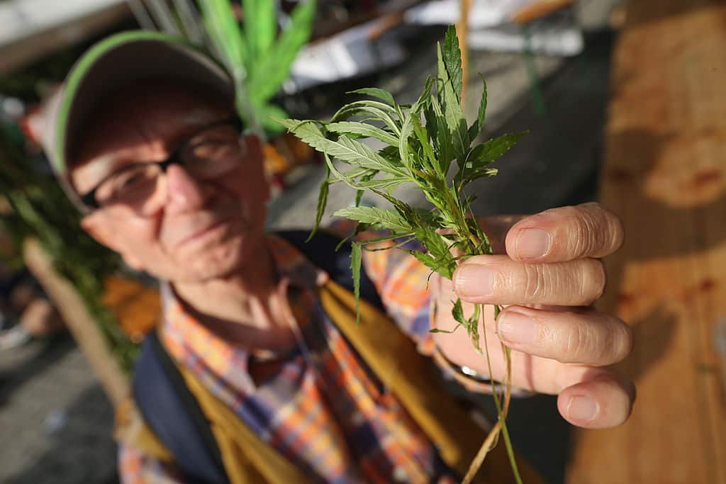 ¿Cómo afectan las drogas a los adultos mayores?