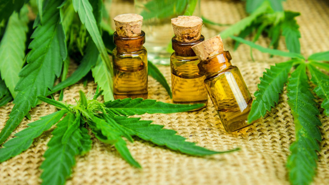 ¿Cuál es la evidencia científica sobre la acción antitumoral de los cannabinoides?