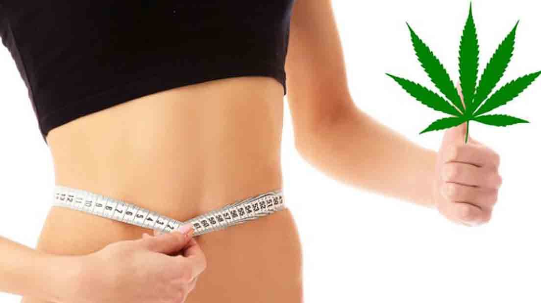 ¿La marihuana te hace adelgazar?