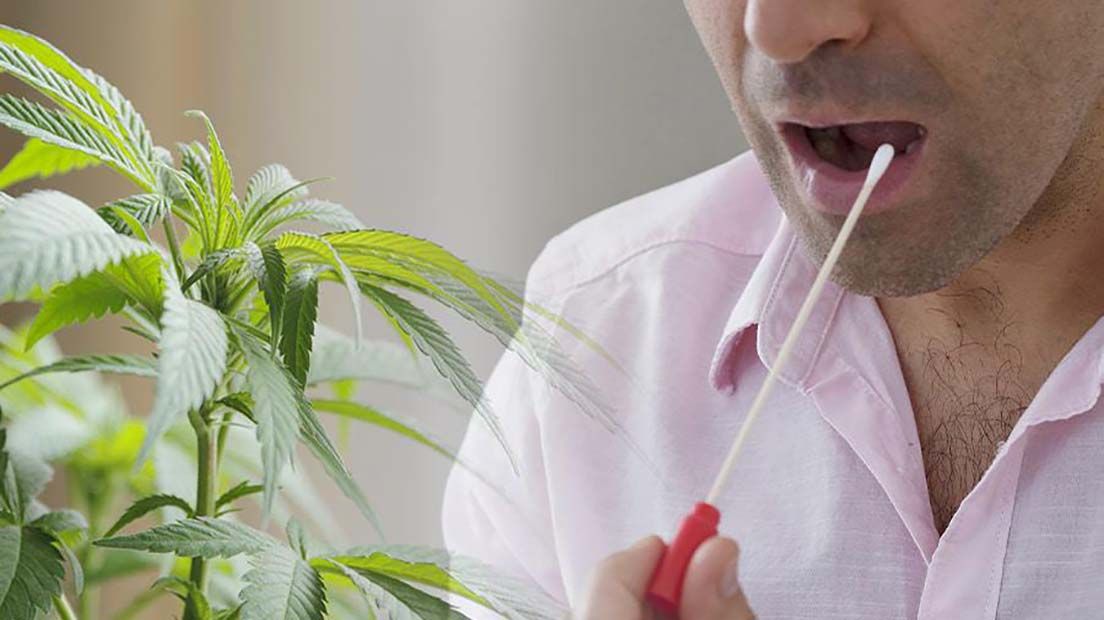 ¿Cuánto dura el efecto del porro?