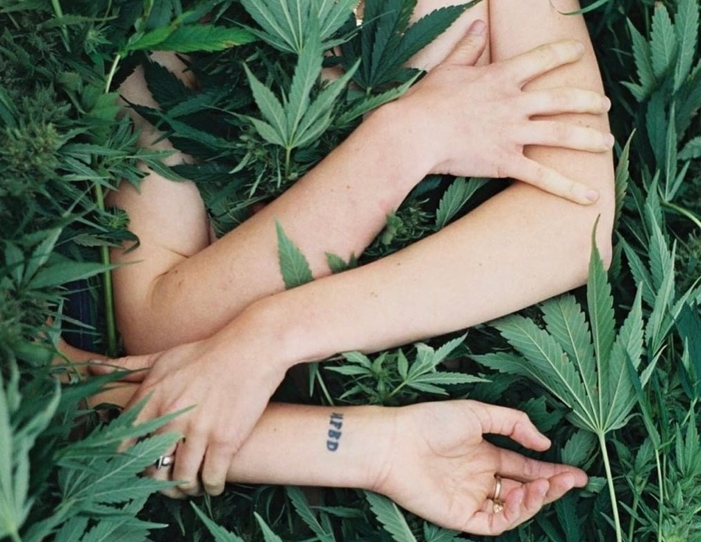 REPROCANN: Las 9 dudas mas frecuentes