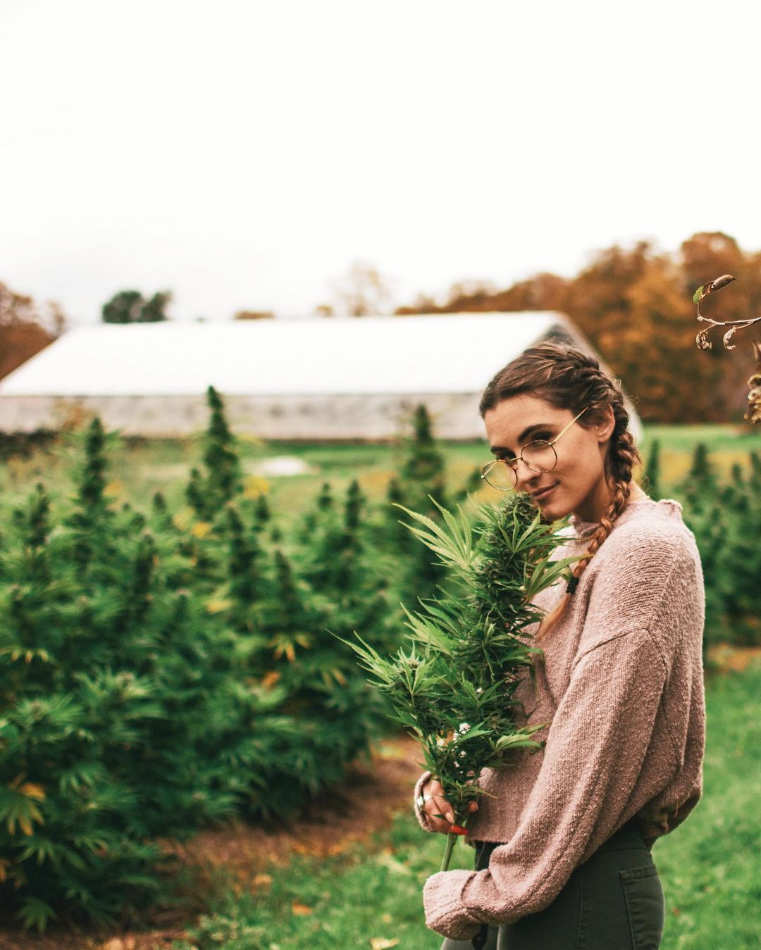 Mujeres y Cannabis