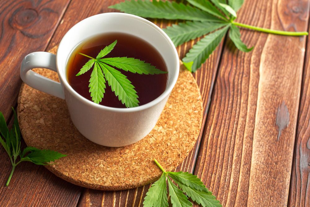 CANNABIS MEDICINAL: El INTI construirá un laboratorio de extracción de aceite en Jujuy