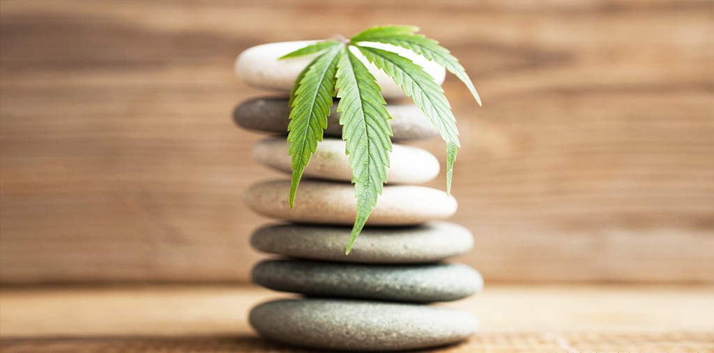 Cannabis y meditación