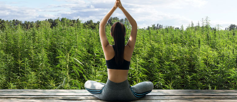 ¿Cómo afecta neurológicamente la marihuana?